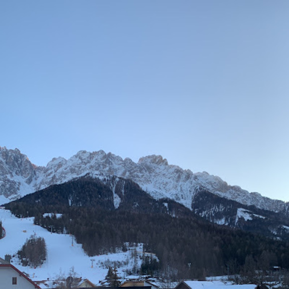 Meet your Posher, Sadie - Picture 1 of 1